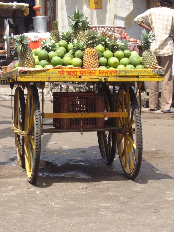 Travel - India - Rajasthan - Pushkar - Streets and People